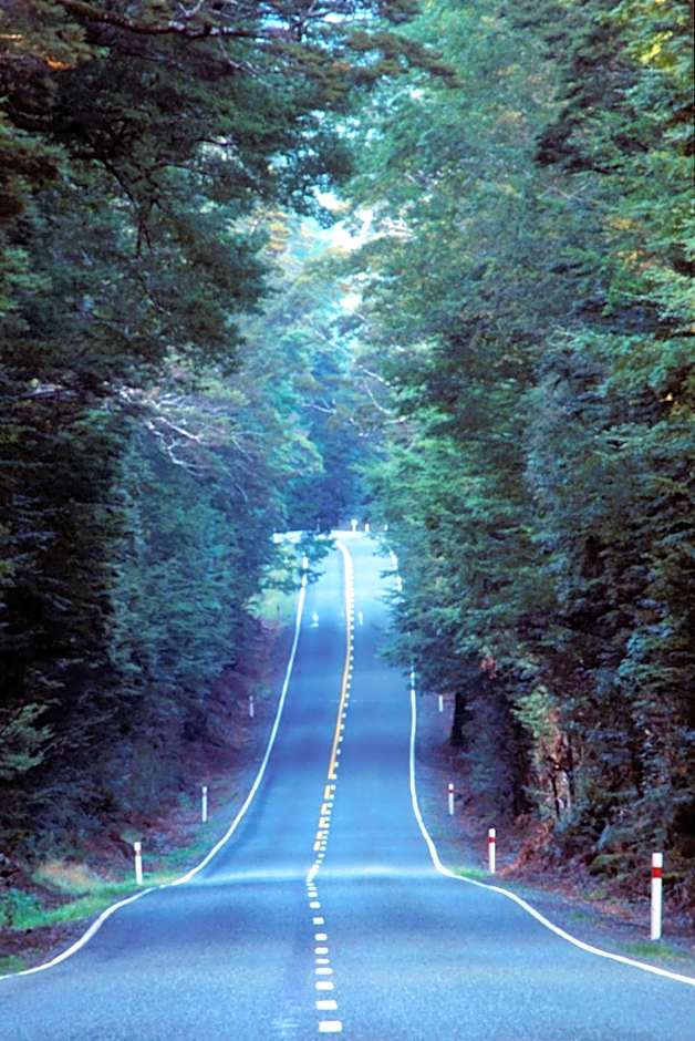 Anchorage Motel Apartments