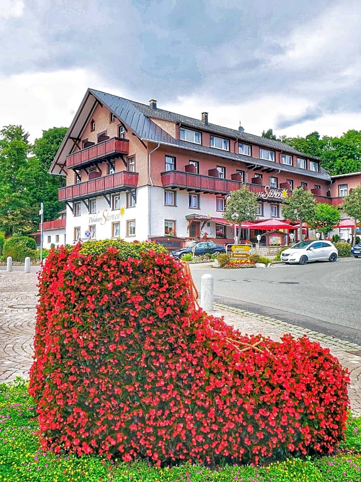 Wochner's Hotel-Sternen Am Schluchsee Hochschwarzwald