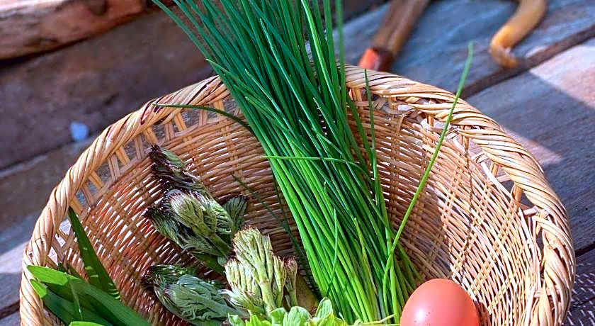 Kizuna Lodge & BBQ Centre