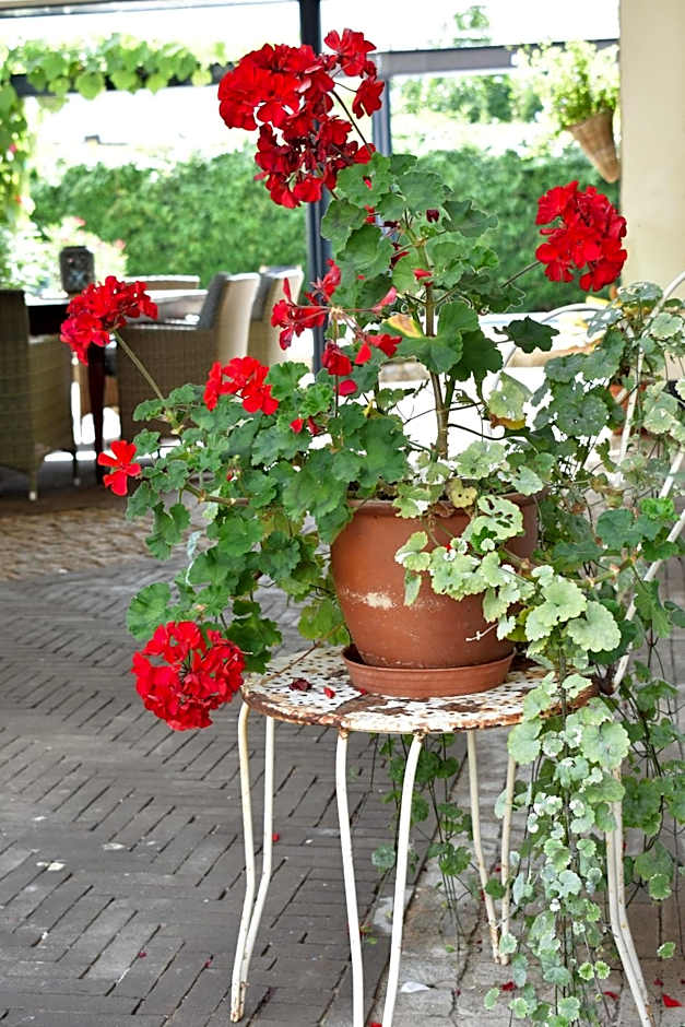 De Oude Limonadefabriek