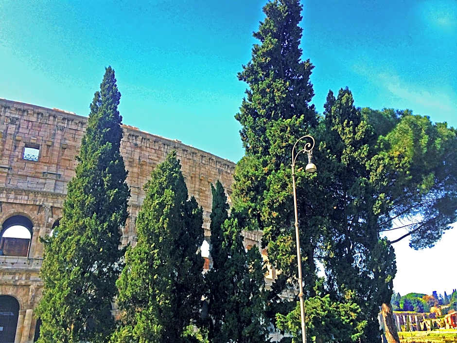 MICLAD Colosseum Guest House