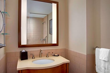 Suite, 1 Bedroom (1 King Bed)