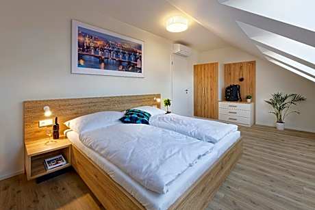 Deluxe One-Bedroom Apartment