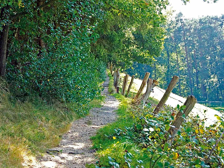 Lindenhof Hotel Tepe