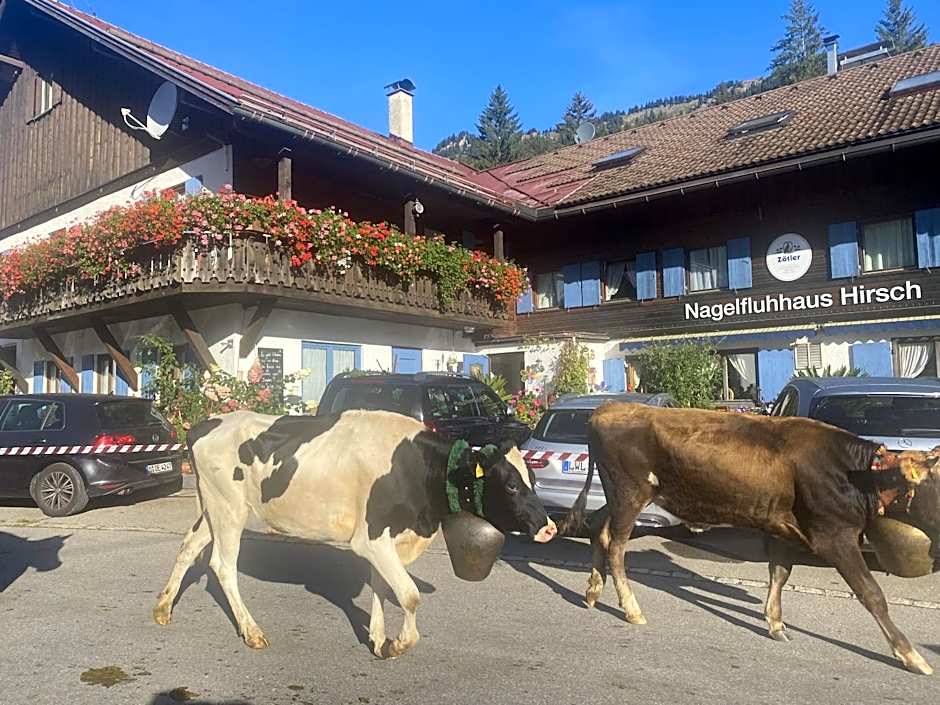 Nagelfluhhaus Hirsch