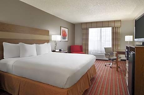 One-Bedroom Queen Suite - Non-Smoking