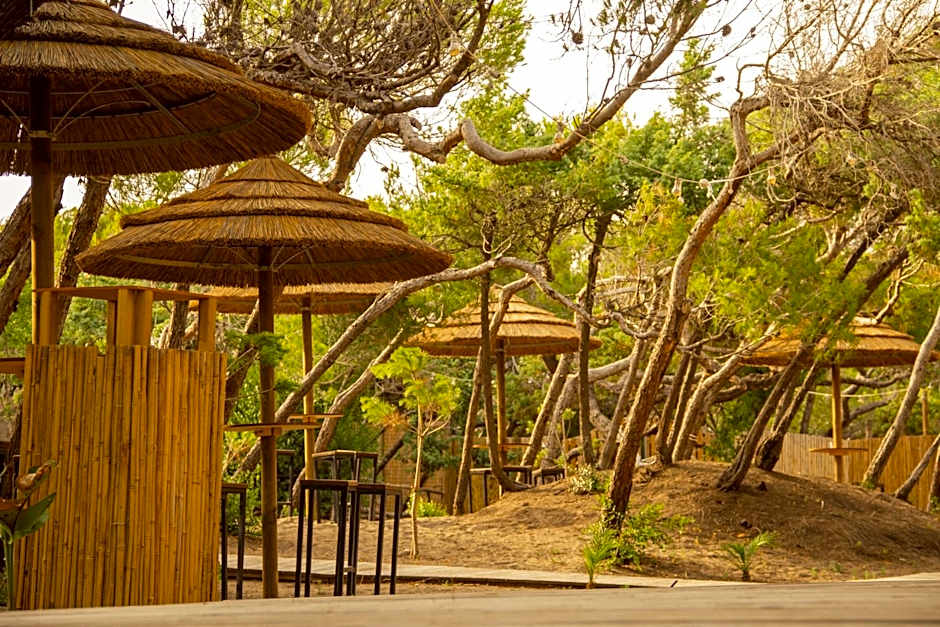 CSA Hotel Beach & Park