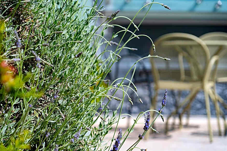 Edem Luxury Apartments