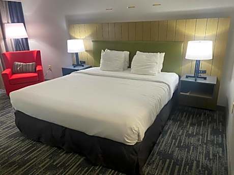 1 King Bed, Suite, Nonsmoking, Accessible