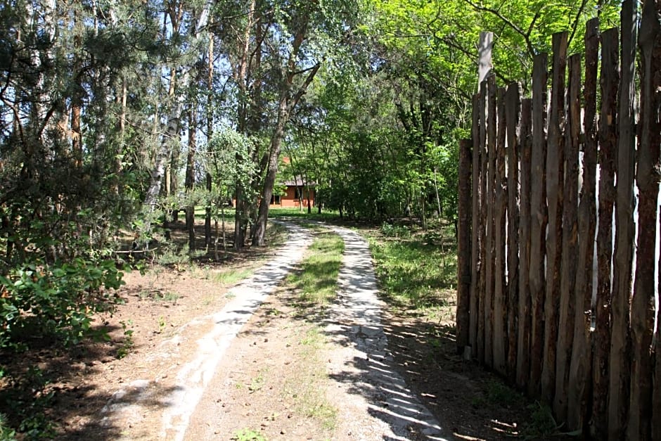 Dom imprezowy z noclegami Dziecinów