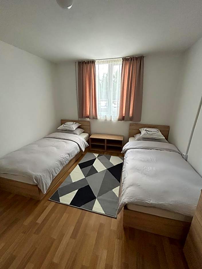 ¿¿¿¿¿¿¿¿¿¿