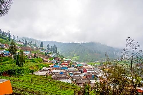 OYO 3004 Penginapan Bromo Adi