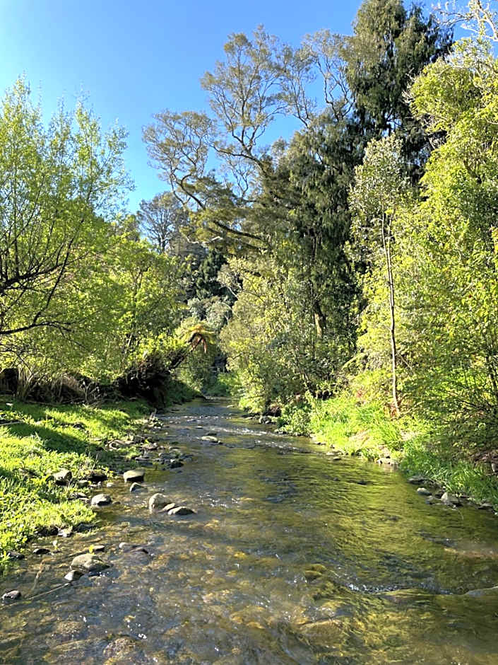 River Song Retreat Golden Bay