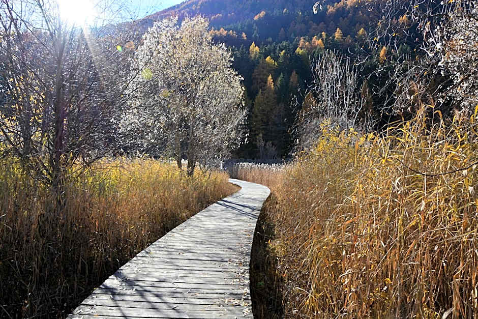 Garni Apparthotel St Valentin