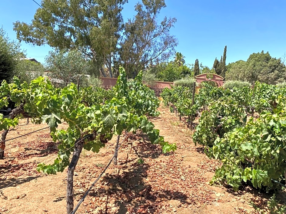 Tierra Mia Hacienda Ruta del Vino