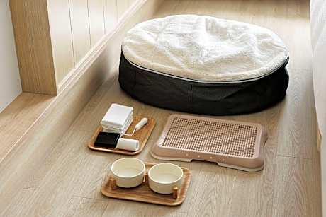 Dog Friendly, Guest Room, 2 Twin