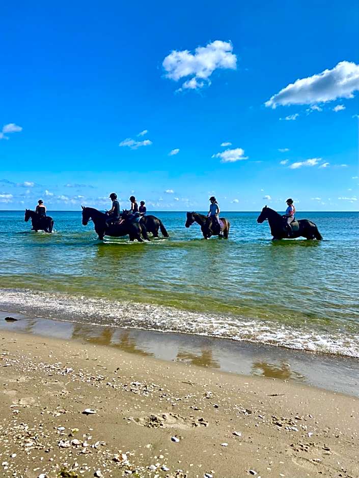 Friesenhof Hotel-Restaurant-Reitanlage