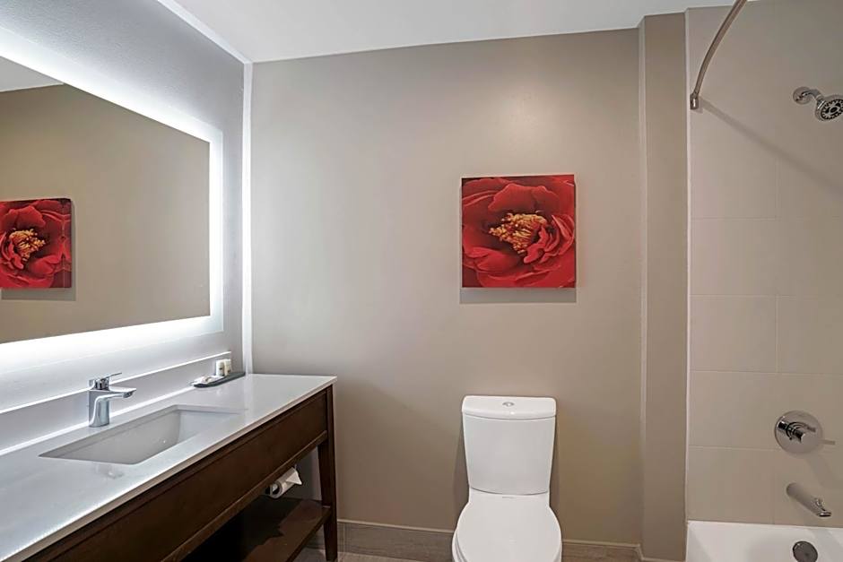 La Quinta Inn & Suites by Wyndham Tuscaloosa - McFarland