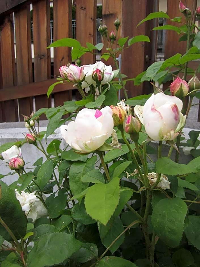 Residence Zum Theater