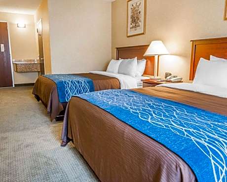 Queen Room with Two Queen Beds - Non-Smoking