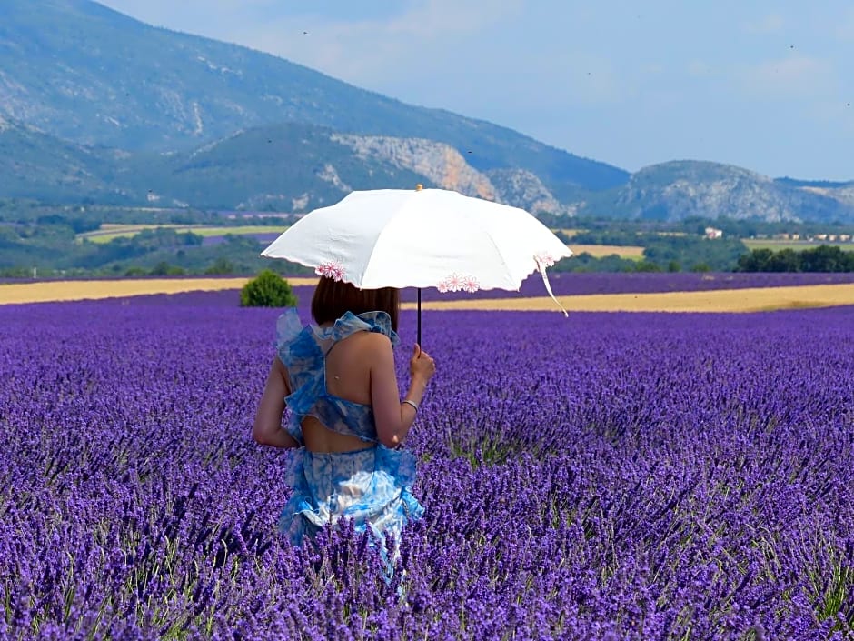 Pigeonnier des Banons