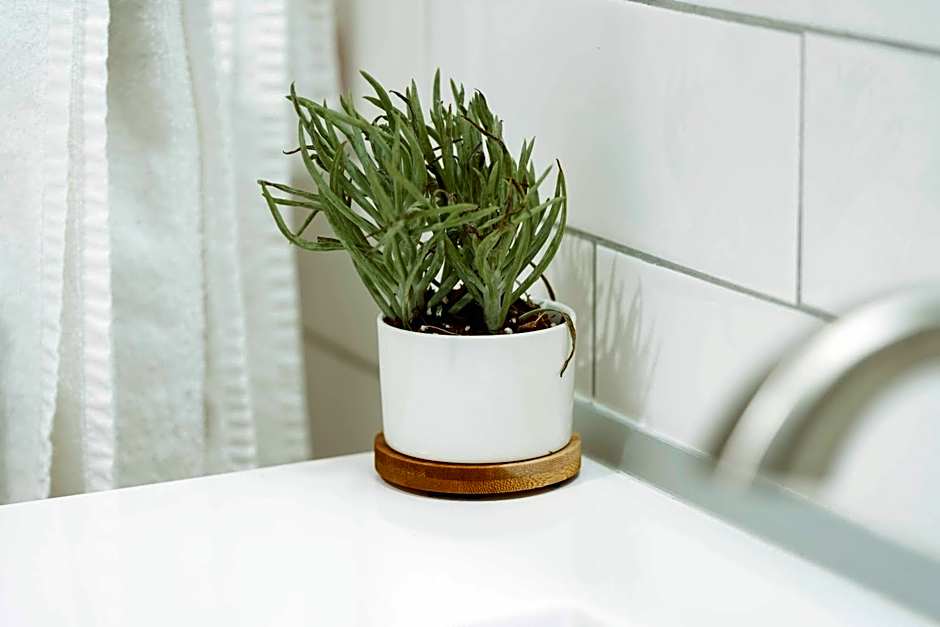 The Belmont Shore Inn