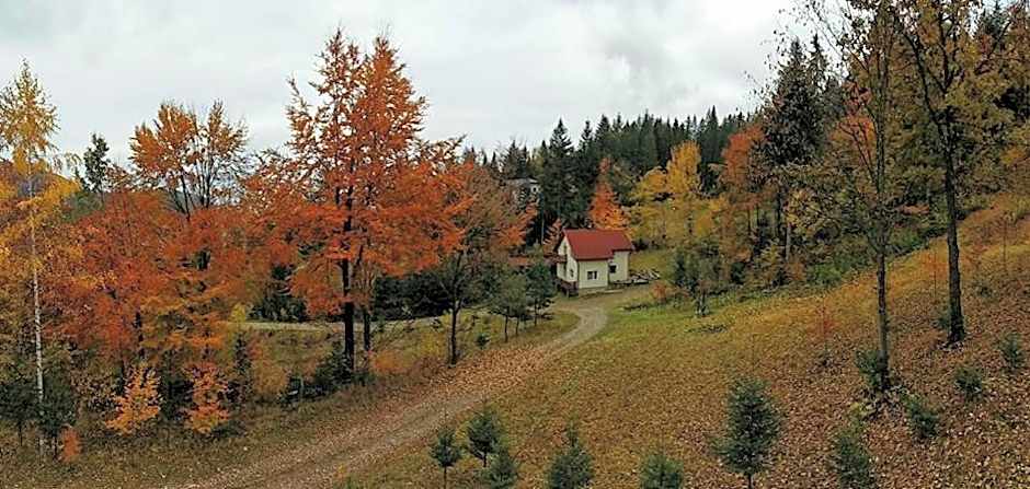 Șoaptele pădurii & Căsuța din pădure
