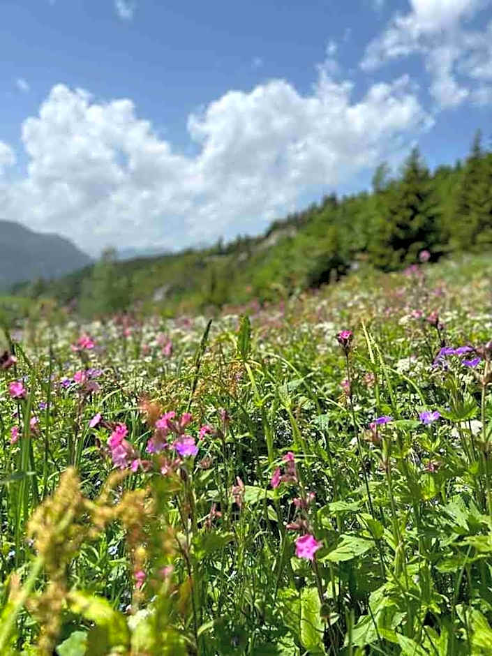 The Glacier Hotel - ex Eurotel Victoria -