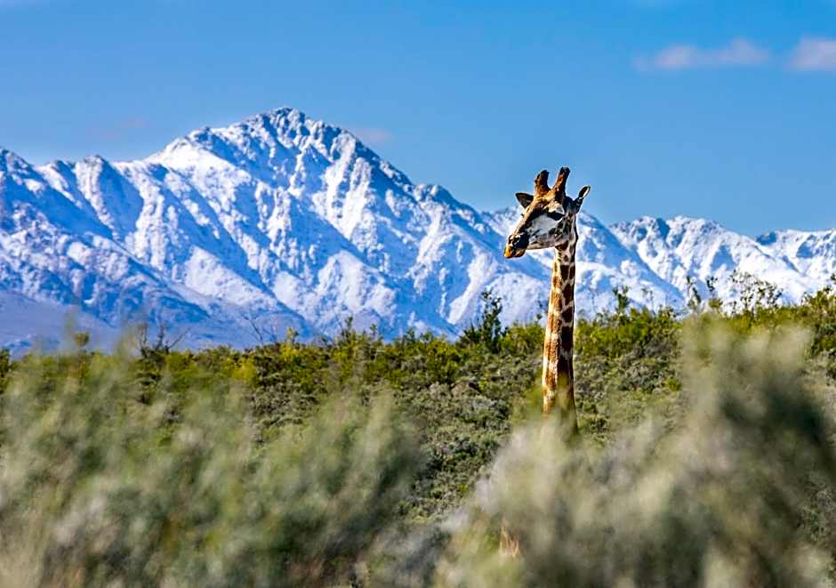 Wildehondekloof Game Lodge