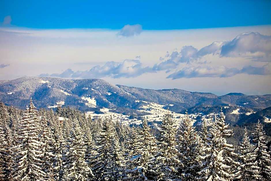 Apartments Flora-Daisy