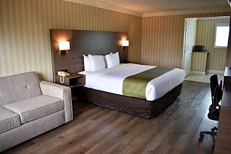 Standard Room, 1 King Bed, Sofa Bed, Non Smoking