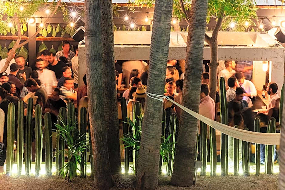 Drift San Jose del Cabo