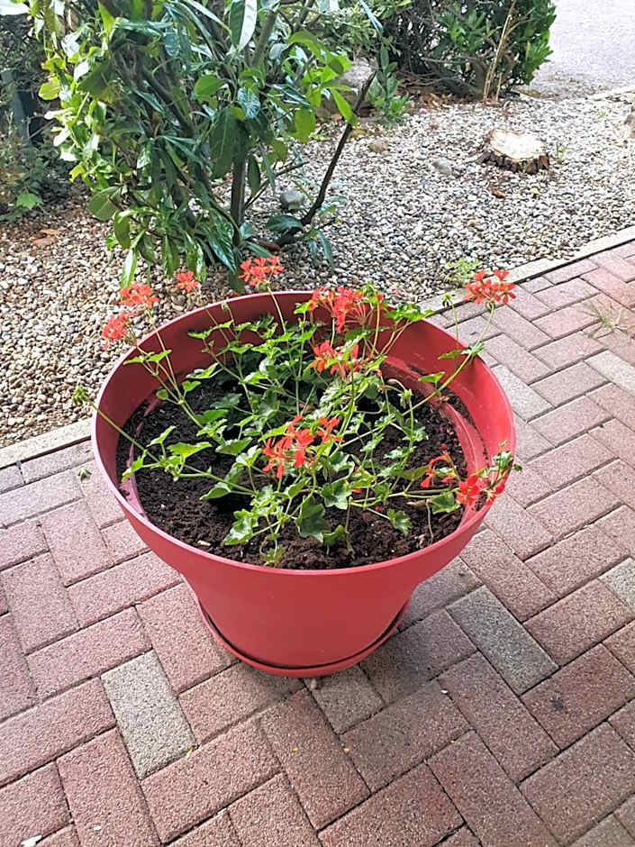 Premiere Classe Besancon Ecole Valentin