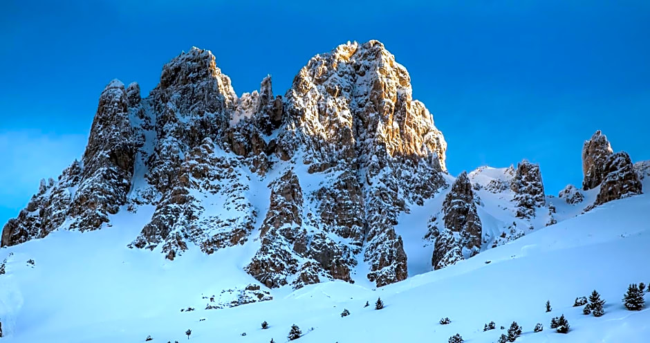 Hôtel Alpen Ruitor