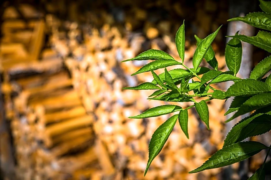 Ferienwohnung Schirla Stub´m