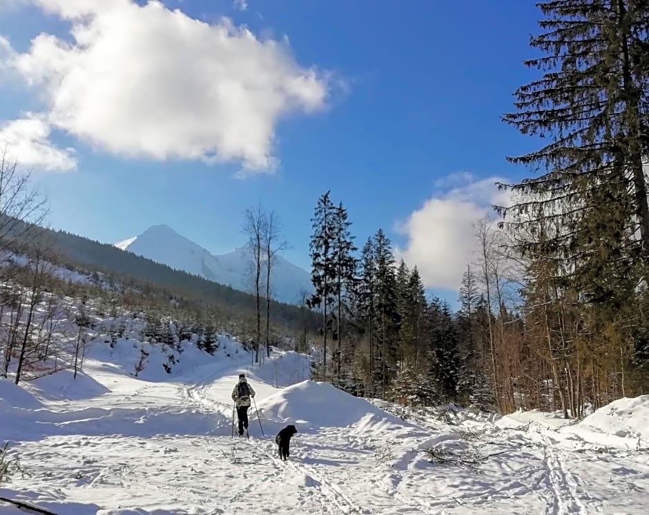 Chalúpka u Babičky