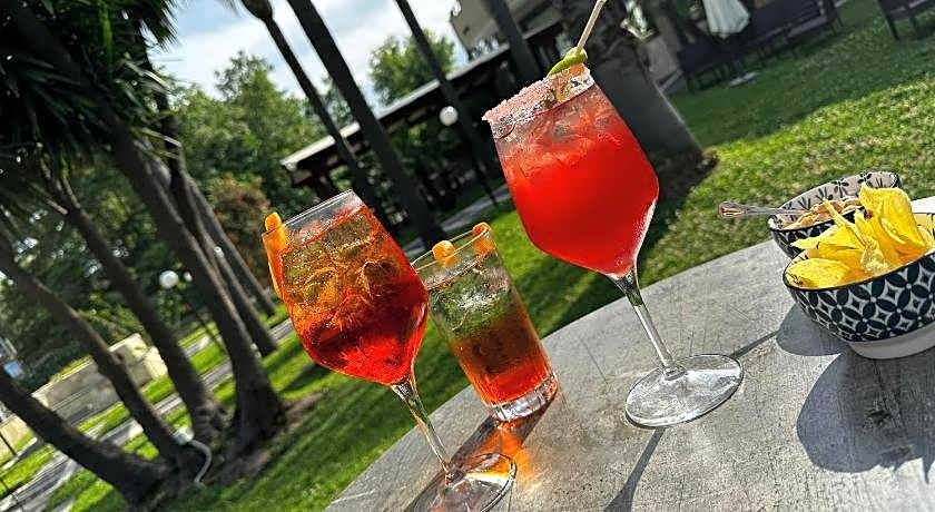 Park Hotel Oasi