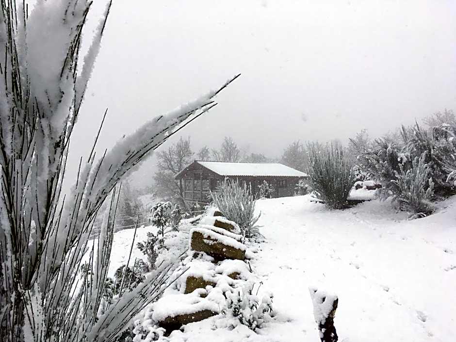 Mountain Log Cabin O Lobo