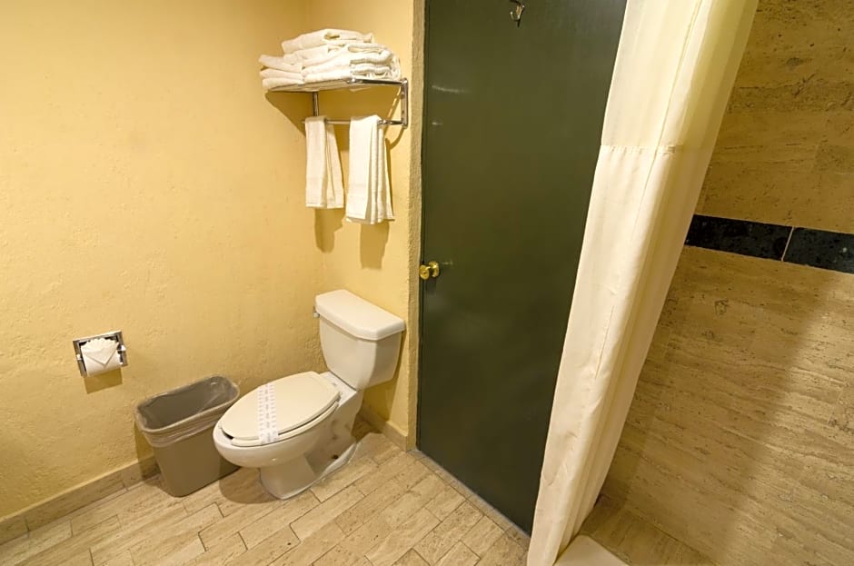 Hotel San Francisco Leon