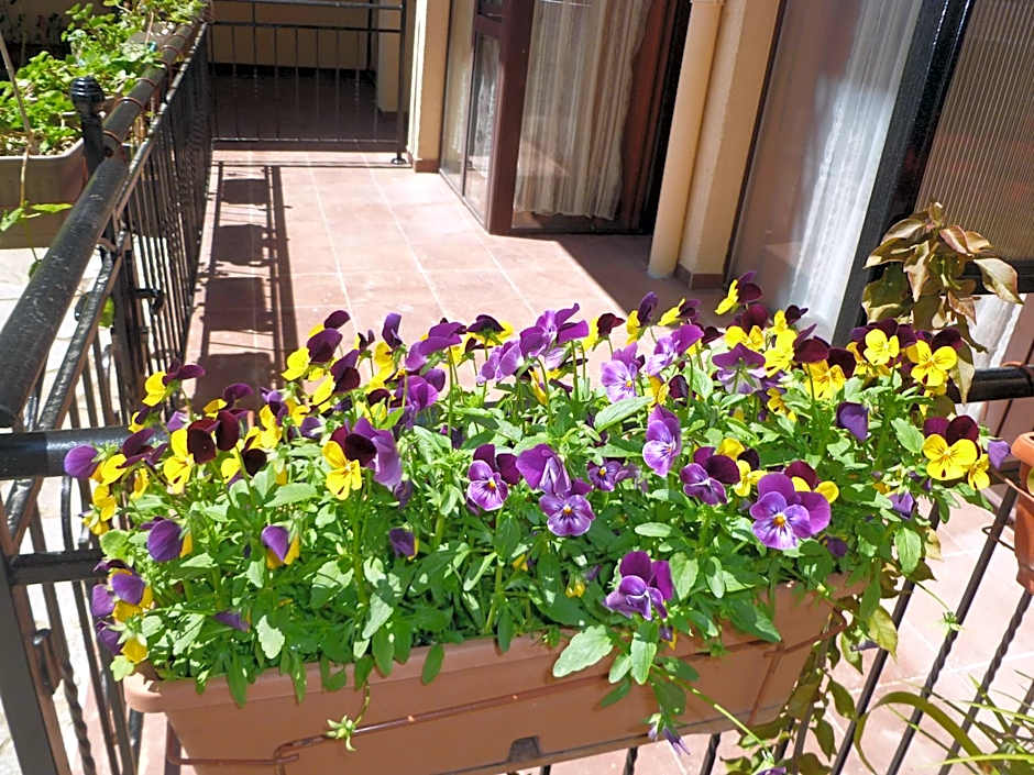 Apartment Tourist Complex Rose Village