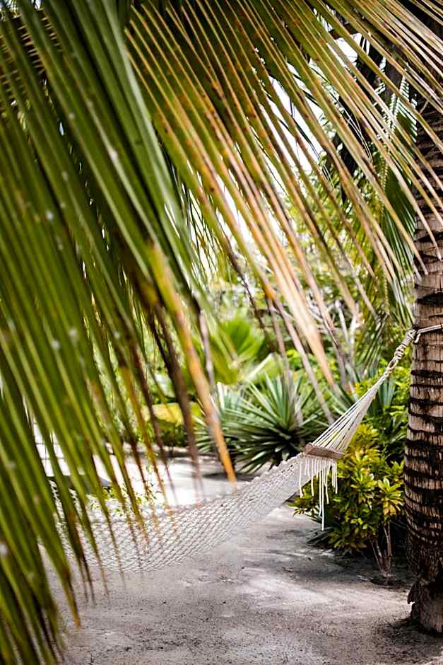 White Paradise Zanzibar