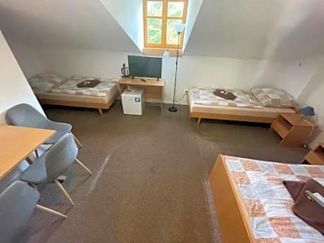 Triple Room with Mountain View