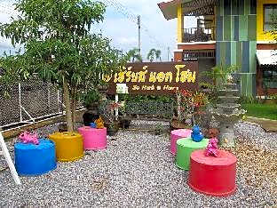 So Herbs at Home