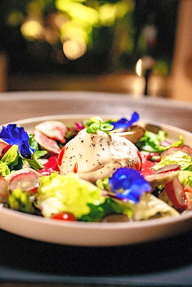 Terasu Riviera Maya Hotel & Spa, en Xcaret