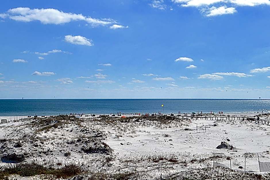 Plantation Dunes #5101