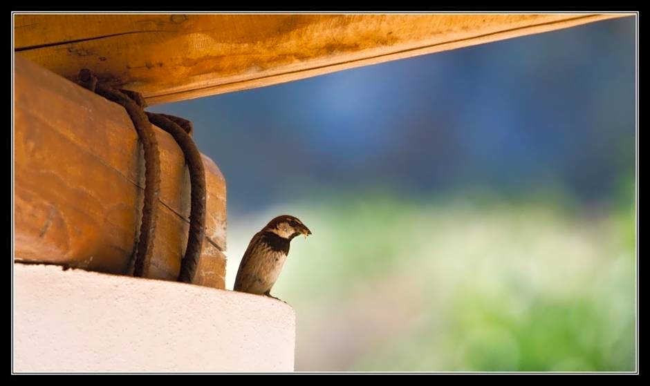Hotel La Locanda Del Postino