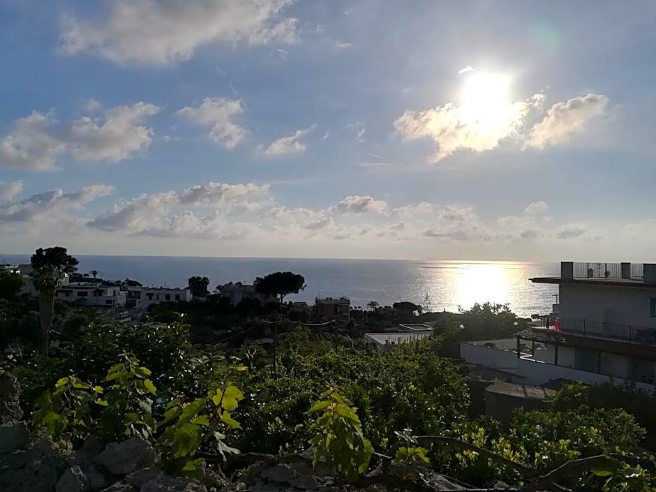 Hotel Villa Cimmentorosso