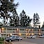 Brownsville Motel