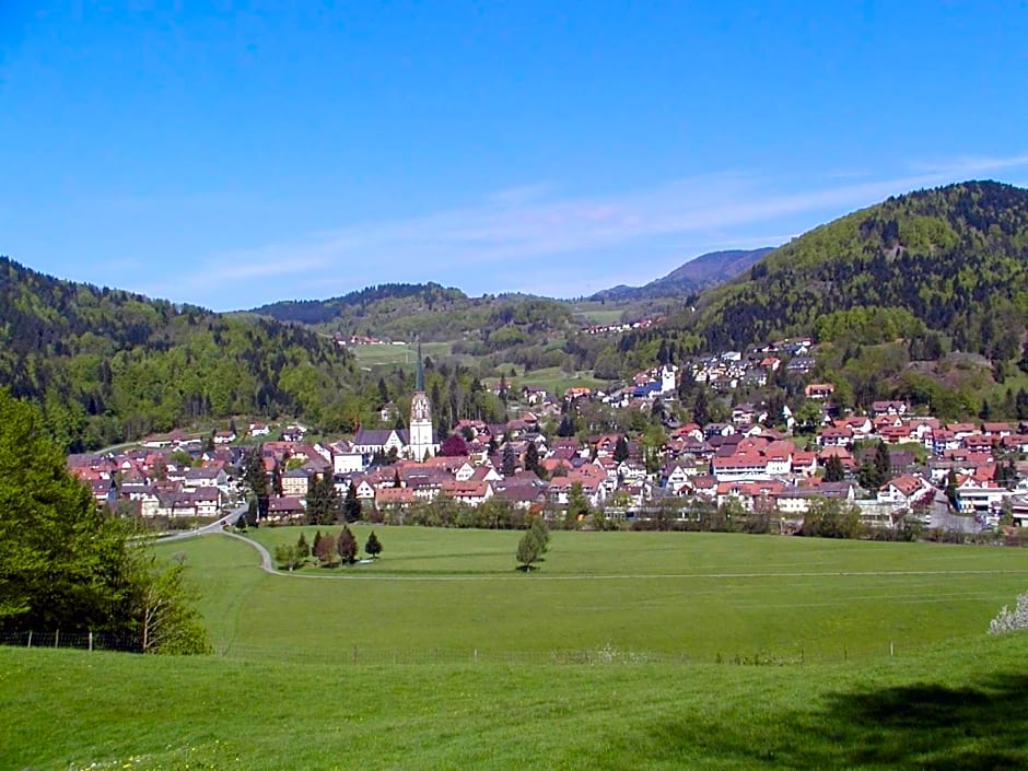 Parkhotel Sonne