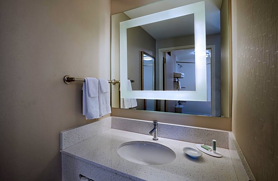 SpringHill Suites by Marriott Boise West/Eagle
